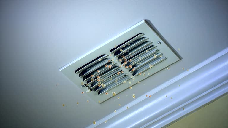 Best Ductwork Cleaning Services  in Chicago Ridge, IL